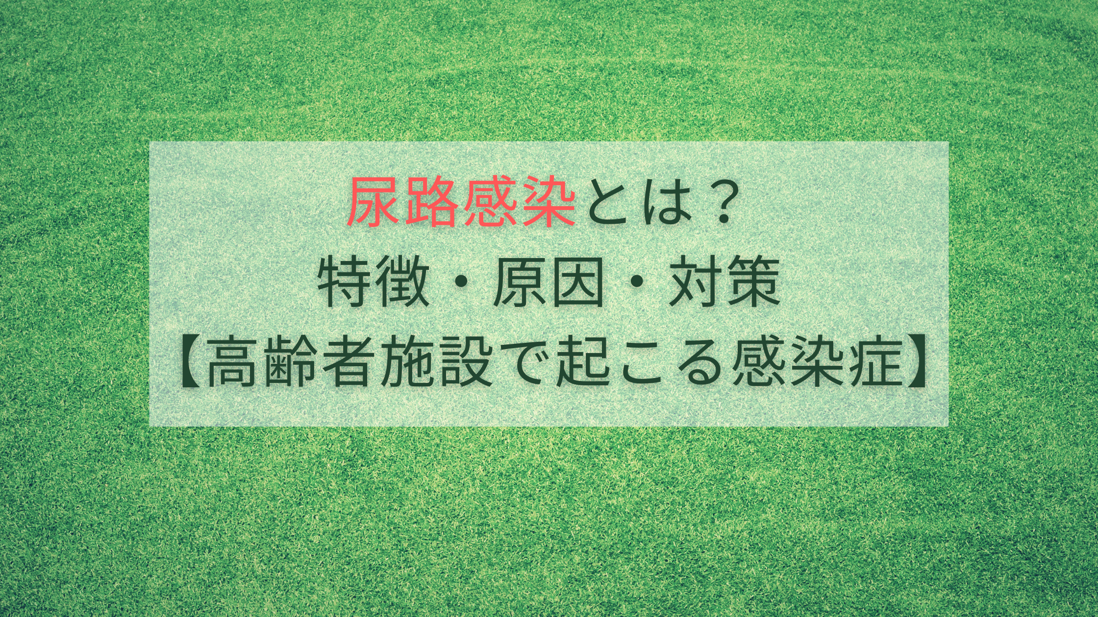 尿路感染とは？特徴・原因・対策【高齢者施設で起こる感染症】